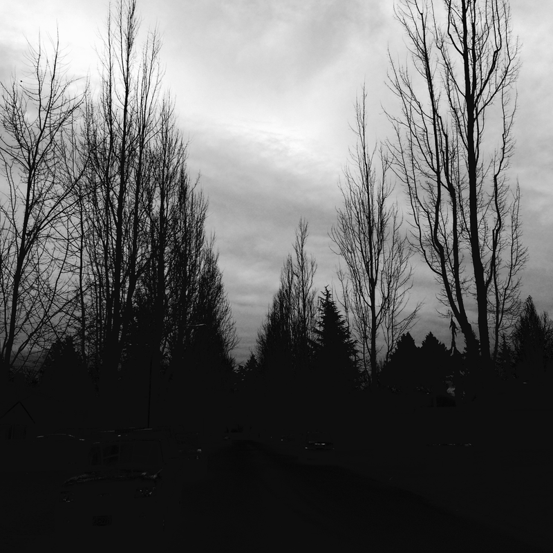 Illustration for article titled 27 Photos Of Barenaked Trees